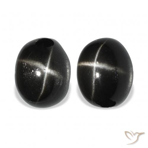 12.73ctw Natürlicher Schwarz Sterndiopsid, Oval, Lichtundurchlässig