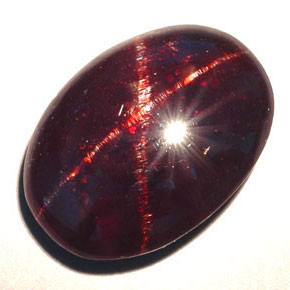 15,79 ctw natürlicher schwarzer Stern-Granat, Oval Schliff, Lichtundurchlässig