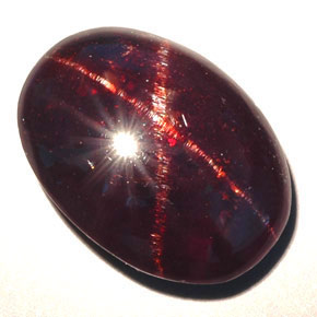 15,79 ctw natürlicher schwarzer Stern-Granat, Oval Schliff, Lichtundurchlässig