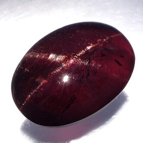 19,80 ctw natürlicher schwarzer Stern-Granat, Oval Schliff, Lichtundurchlässig