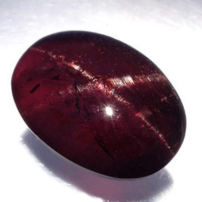19,80 ctw natürlicher schwarzer Stern-Granat, Oval Schliff, Lichtundurchlässig