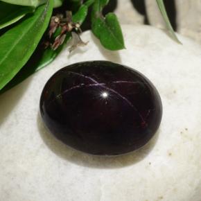 31,18 ctw natürlicher schwarzer Stern-Granat, Oval Schliff, Lichtundurchlässig