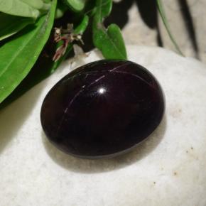 31,18 ctw natürlicher schwarzer Stern-Granat, Oval Schliff, Lichtundurchlässig