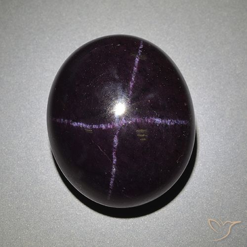 66.95ct Natürlicher dunkellila Sterngranat, Oval, Lichtundurchlässig