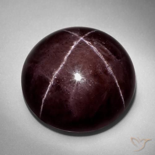 73.16ct Natürlicher dunkelrot Sterngranat, Runden, Lichtundurchlässig