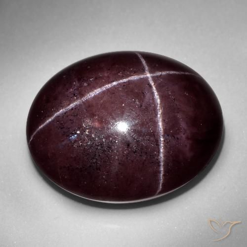57.48ct Natürlicher Mahagonirot Sterngranat, Oval, Lichtundurchlässig
