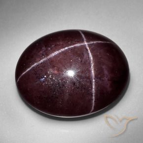 9,17 ctw natürlicher Mahagonirot Sterngranat, Oval, Lichtundurchlässig