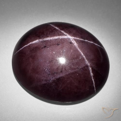 93.06ct Natürlicher Mahagonirot Sterngranat, Oval, Lichtundurchlässig