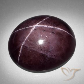9,17 ctw natürlicher Mahagonirot Sterngranat, Oval, Lichtundurchlässig