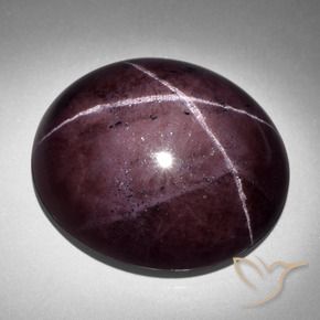 9,17 ctw natürlicher Mahagonirot Sterngranat, Oval, Lichtundurchlässig