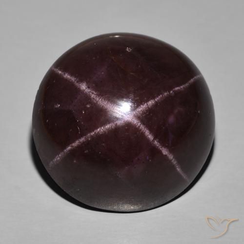 63.29ct Natürlicher dunkelrot Sterngranat, Oval, Lichtundurchlässig