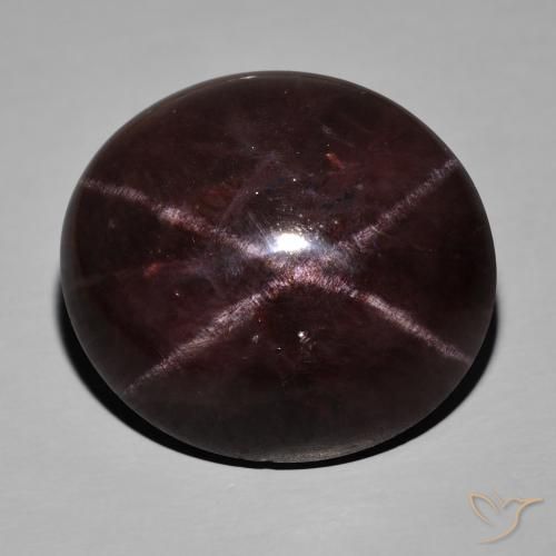 72.40ct Natürlicher dunkelrot Sterngranat, Oval, Lichtundurchlässig