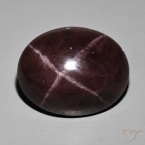 66.96ct Natürlicher dunkelrot Sterngranat, Oval, Lichtundurchlässig