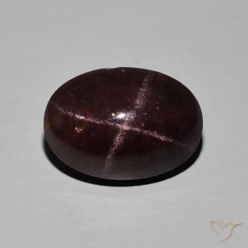 11.27ct Natürlicher Mahagonirot Sterngranat, Oval, Lichtundurchlässig