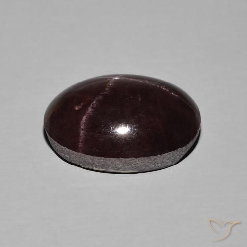 9,17 ctw natürlicher Mahagonirot Sterngranat, Oval, Lichtundurchlässig