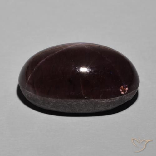 9,17 ctw natürlicher Mahagonirot Sterngranat, Oval, Lichtundurchlässig
