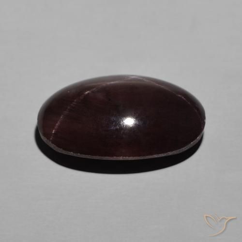 9,17 ctw natürlicher Mahagonirot Sterngranat, Oval, Lichtundurchlässig