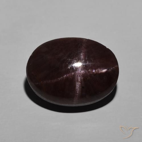 9.06ct Natürlicher dunkelrot Sterngranat, Oval, Lichtundurchlässig