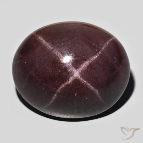 64.74ct Natürlicher Mahagonirot Sterngranat, Oval, Lichtundurchlässig