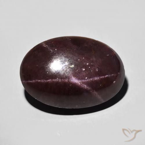 15.62ct Natürlicher dunkelrot Sterngranat, Oval, Lichtundurchlässig