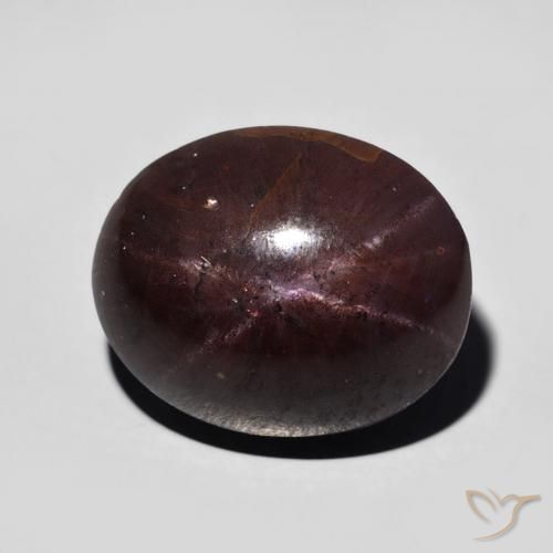 12.82ct Natürlicher dunkelrot Sterngranat, Oval, Lichtundurchlässig