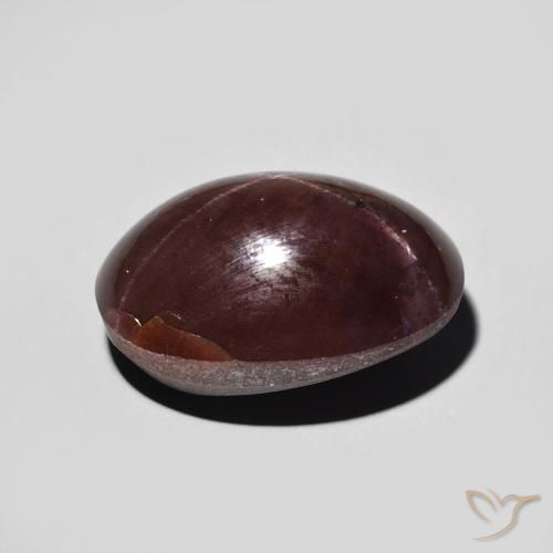 9,17 ctw natürlicher dunkelrot Sterngranat, Oval, Lichtundurchlässig