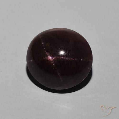 9,17 ctw natürlicher Mahagonirot Sterngranat, Oval, Lichtundurchlässig