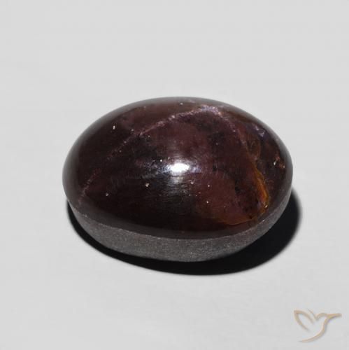 9,17 ctw natürlicher Mahagonirot Sterngranat, Oval, Lichtundurchlässig