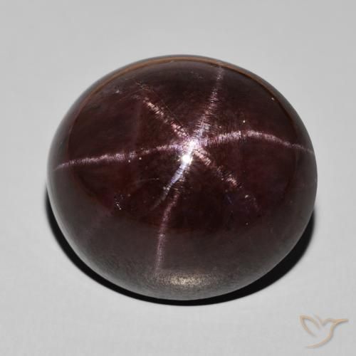 51.55ct Natürlicher Mahagonirot Sterngranat, Oval, Lichtundurchlässig