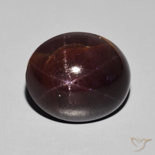24.21ct Natürlicher Mahagonirot Sterngranat, Oval, Lichtundurchlässig