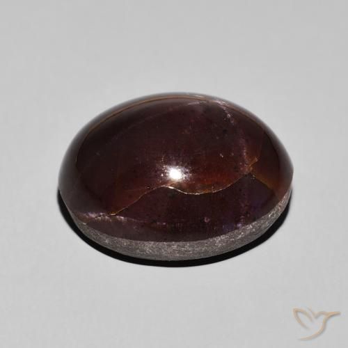 9,17 ctw natürlicher Mahagonirot Sterngranat, Oval, Lichtundurchlässig