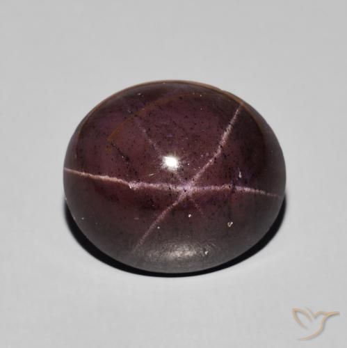 13.26ct Natürlicher Mahagonirot Sterngranat, Oval, Lichtundurchlässig