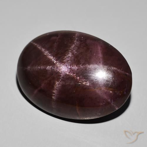 68.34ct Natürlicher Mahagonirot Sterngranat, Oval, Lichtundurchlässig
