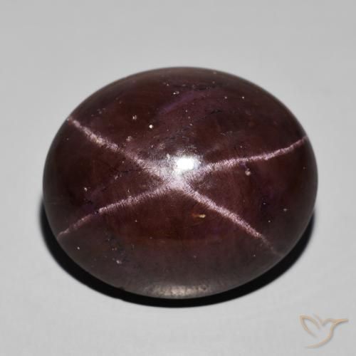 62.94ct Natürlicher dunkelrot Sterngranat, Oval, Lichtundurchlässig
