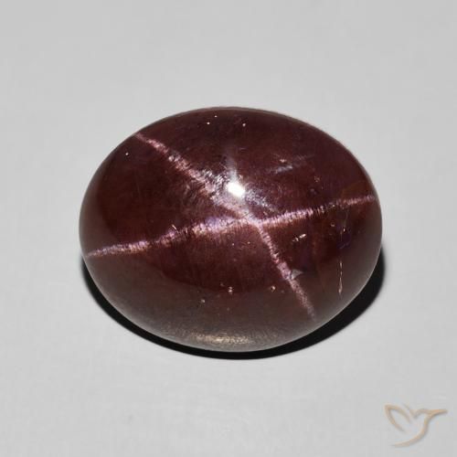 12.41ct Natürlicher Mahagonirot Sterngranat, Oval, Lichtundurchlässig