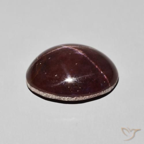 9,17 ctw natürlicher Mahagonirot Sterngranat, Oval, Lichtundurchlässig