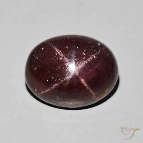 14.88ct Natürlicher dunkelrot Sterngranat, Oval, Lichtundurchlässig