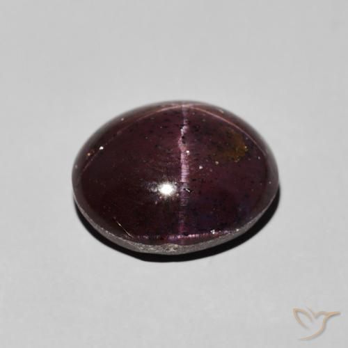9,17 ctw natürlicher Mahagonirot Sterngranat, Oval, Lichtundurchlässig