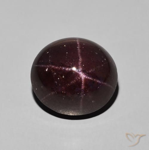 9.92ct Natürlicher dunkelrot Sterngranat, Oval, Lichtundurchlässig