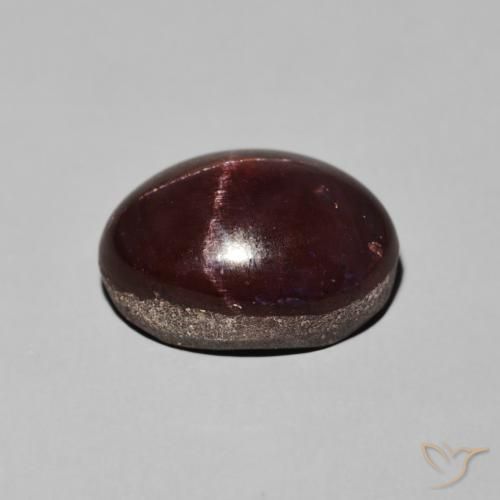 9,17 ctw natürlicher dunkelrot Sterngranat, Oval, Lichtundurchlässig