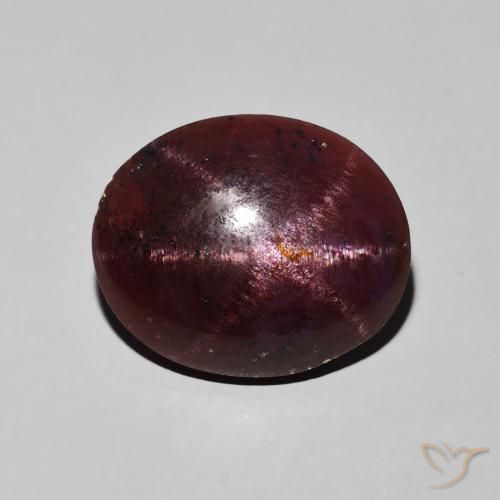 12.20ct Natürlicher Mahagonirot Sterngranat, Oval, Lichtundurchlässig