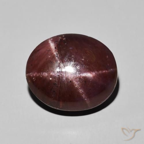 13.83ct Natürlicher Mahagonirot Sterngranat, Oval, Lichtundurchlässig