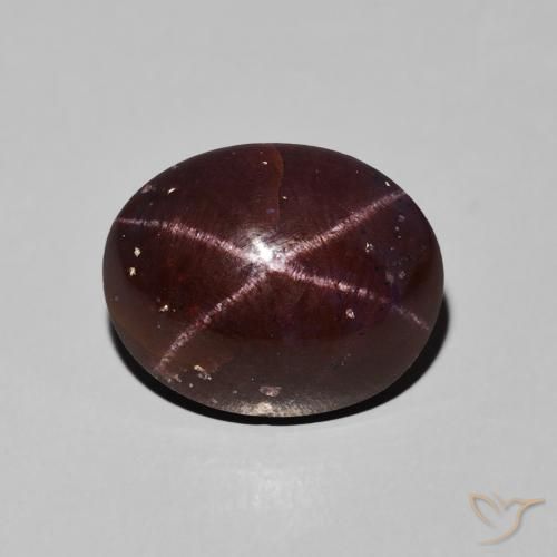 9.76ct Natürlicher dunkelrot Sterngranat, Oval, Lichtundurchlässig