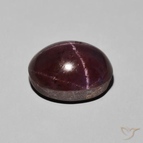 9,17 ctw natürlicher dunkelrot Sterngranat, Oval, Lichtundurchlässig