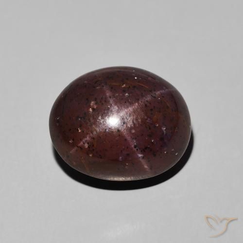 11.62ct Natürlicher dunkelrot Sterngranat, Oval, Lichtundurchlässig