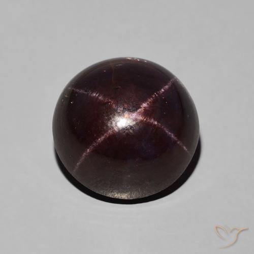 10.73ct Natürlicher Mahagonirot Sterngranat, Runden, Lichtundurchlässig