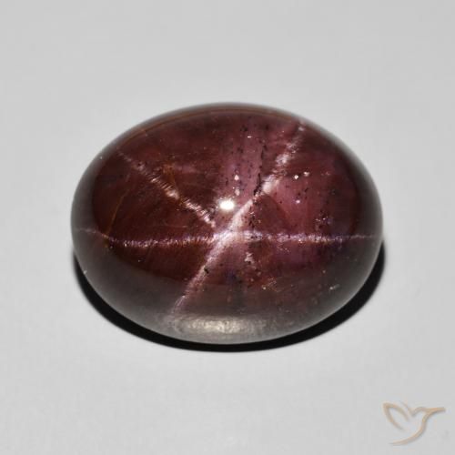 33.69ct Natürlicher dunkelrot Sterngranat, Oval, Lichtundurchlässig