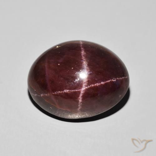 21.16ct Natürlicher dunkelrot Sterngranat, Oval, Lichtundurchlässig