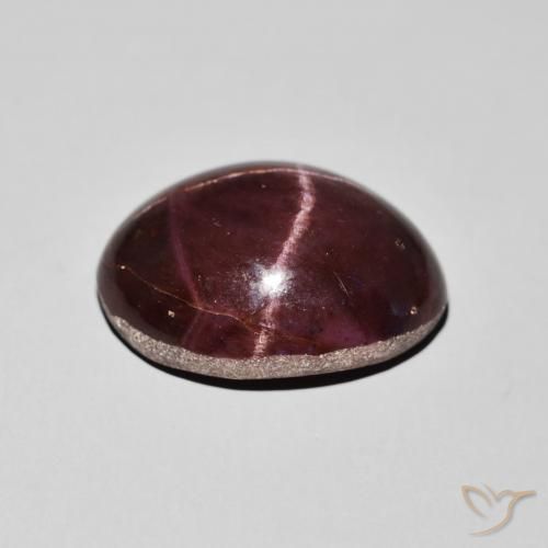 9,17 ctw natürlicher dunkelrot Sterngranat, Oval, Lichtundurchlässig