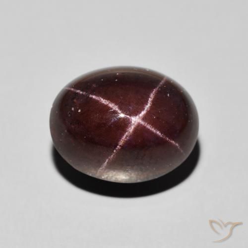 13.49ct Natürlicher dunkelrot Sterngranat, Oval, Lichtundurchlässig